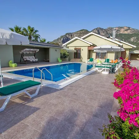 Tatil Premium Queen *
